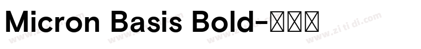 Micron Basis Bold字体转换